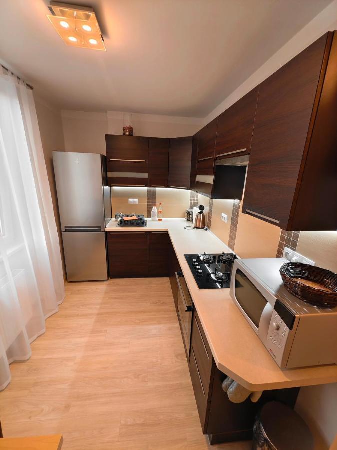 Apartmán v centru Karlovy Vary Esterno foto